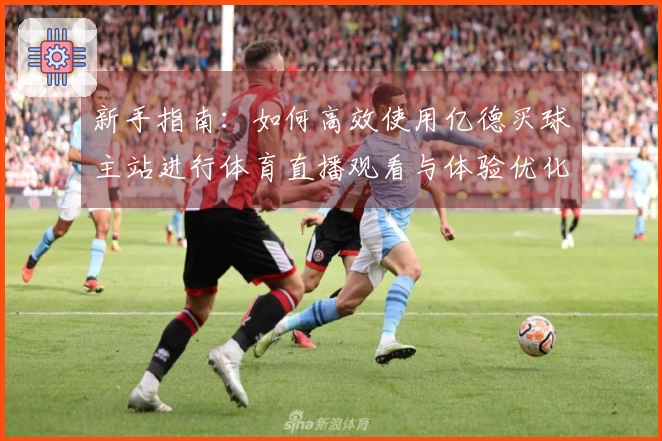 新手指南：如何高效使用亿德买球主站进行体育直播观看与体验优化