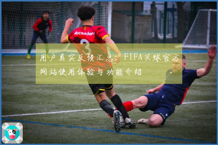 用户真实反馈汇总：FIFA买球官方网站使用体验与功能介绍