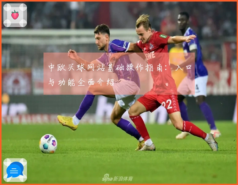 中欧买球网站基础操作指南：入口与功能全面介绍