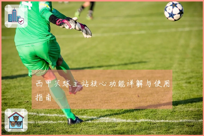 西甲买球主站核心功能详解与使用指南