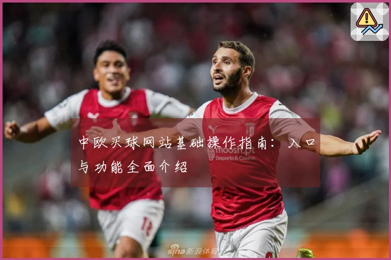 中欧买球网站基础操作指南：入口与功能全面介绍
